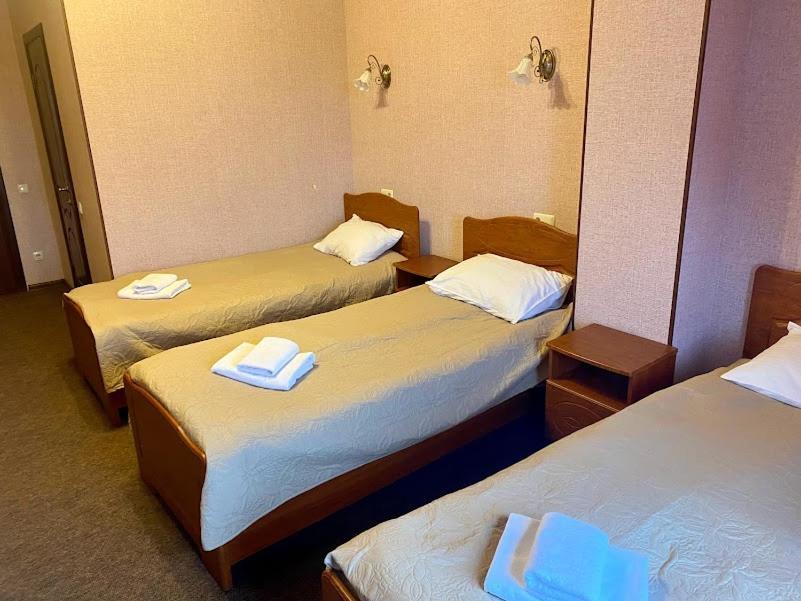 Golden Lion Hotel Boryspilʼ Екстериор снимка